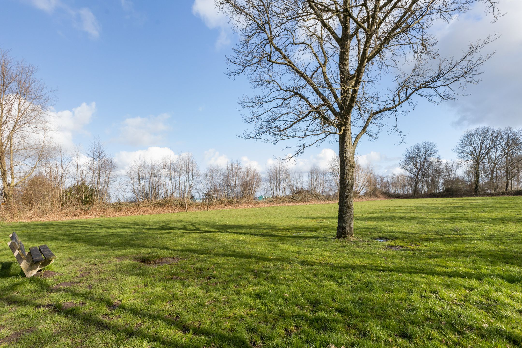 Foto 54 van Meidoornlaan 21