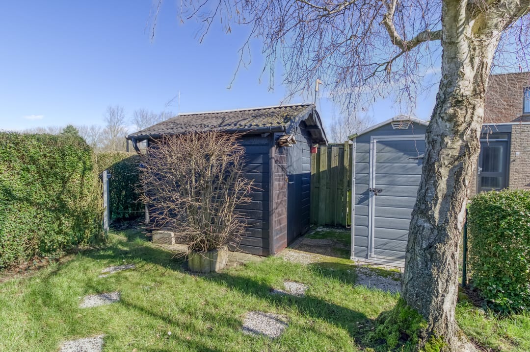 Foto 22 van Lamsoor 3-B