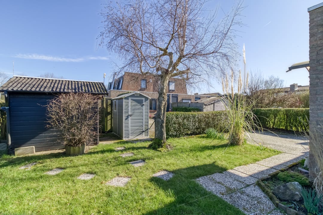 Foto 2 van Lamsoor 3-B