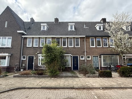 Brugmanstraat thumbnail