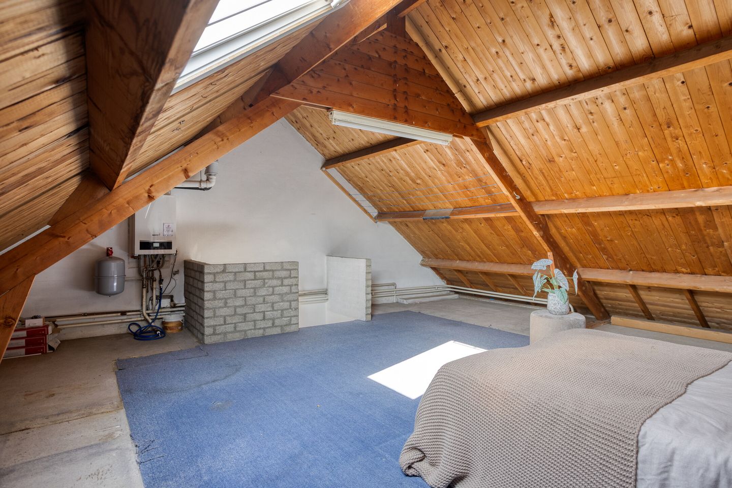 Foto 20 van Kastanjehoutstraat 4