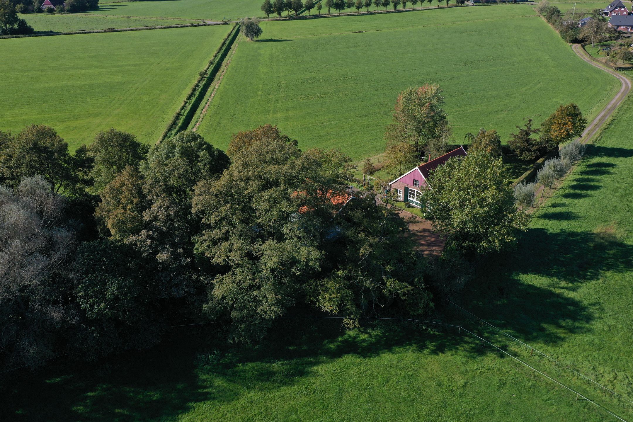 Foto 6 van Honkerbosweg 4