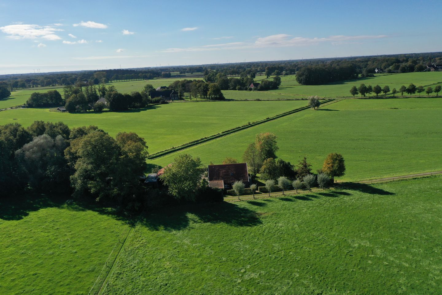 Foto 49 van Honkerbosweg 4