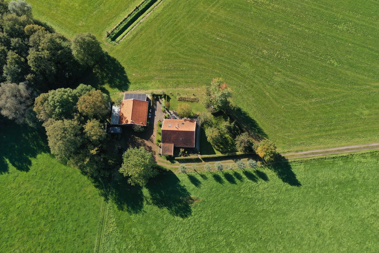 Foto 50 van Honkerbosweg 4