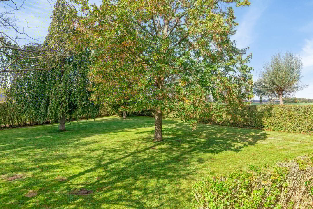 Foto 46 van Honkerbosweg 4