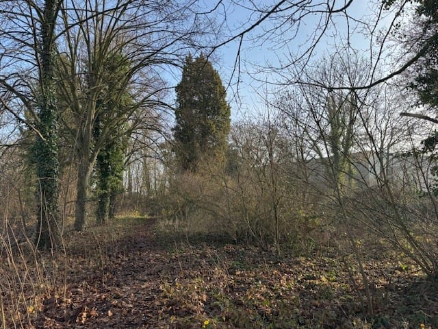 View photo 5 of Bethelstraat