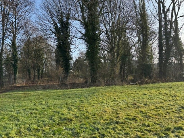 View photo 4 of Bethelstraat