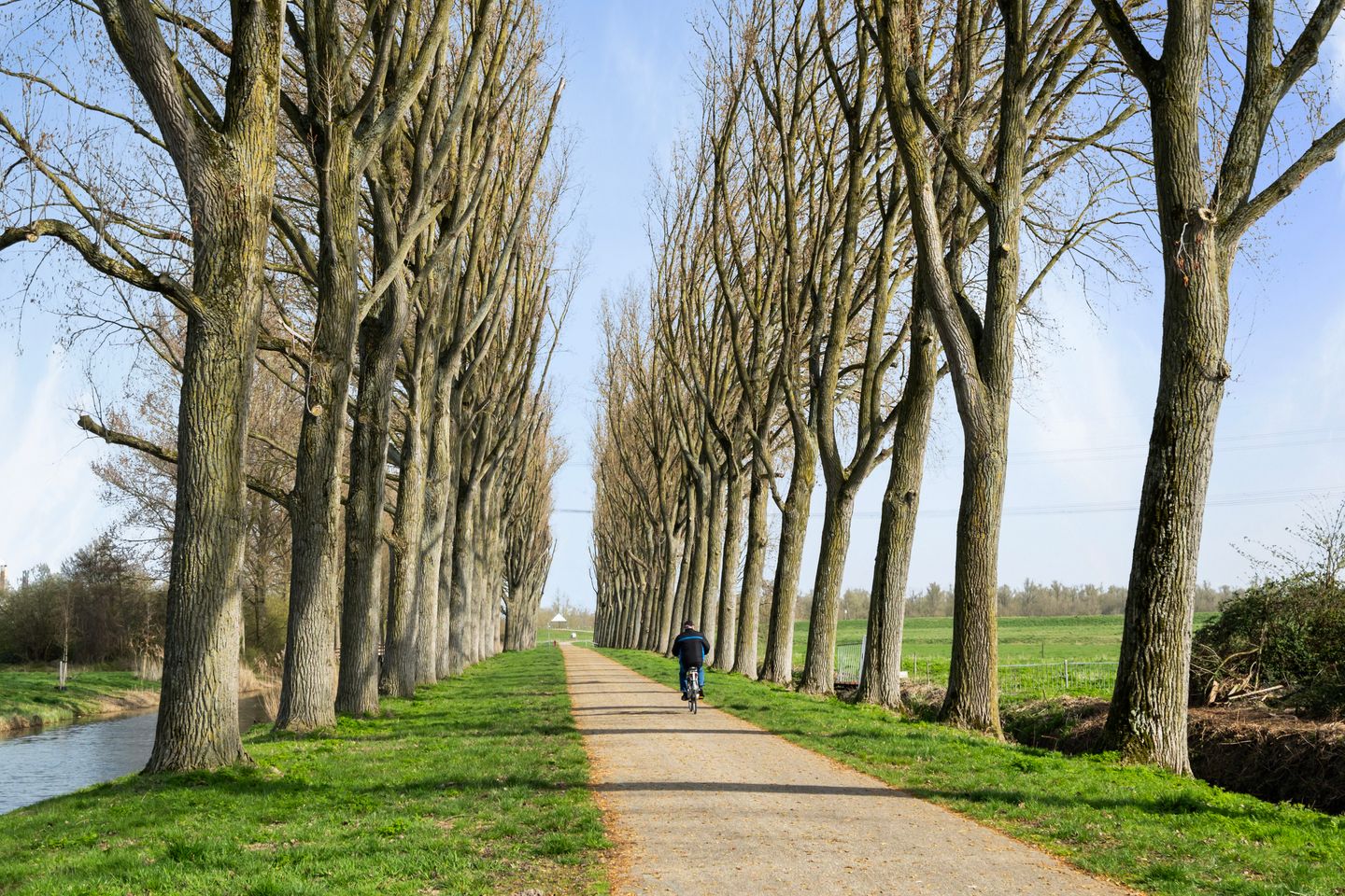 Photo 49 of Mina Krüseman-erf 143