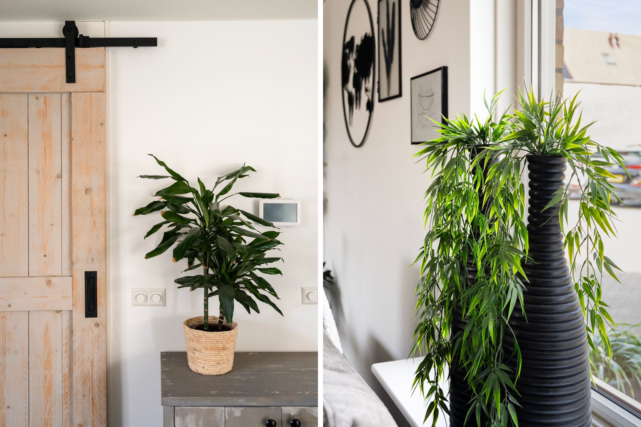 Photo 21 of Mina Krüseman-erf 143