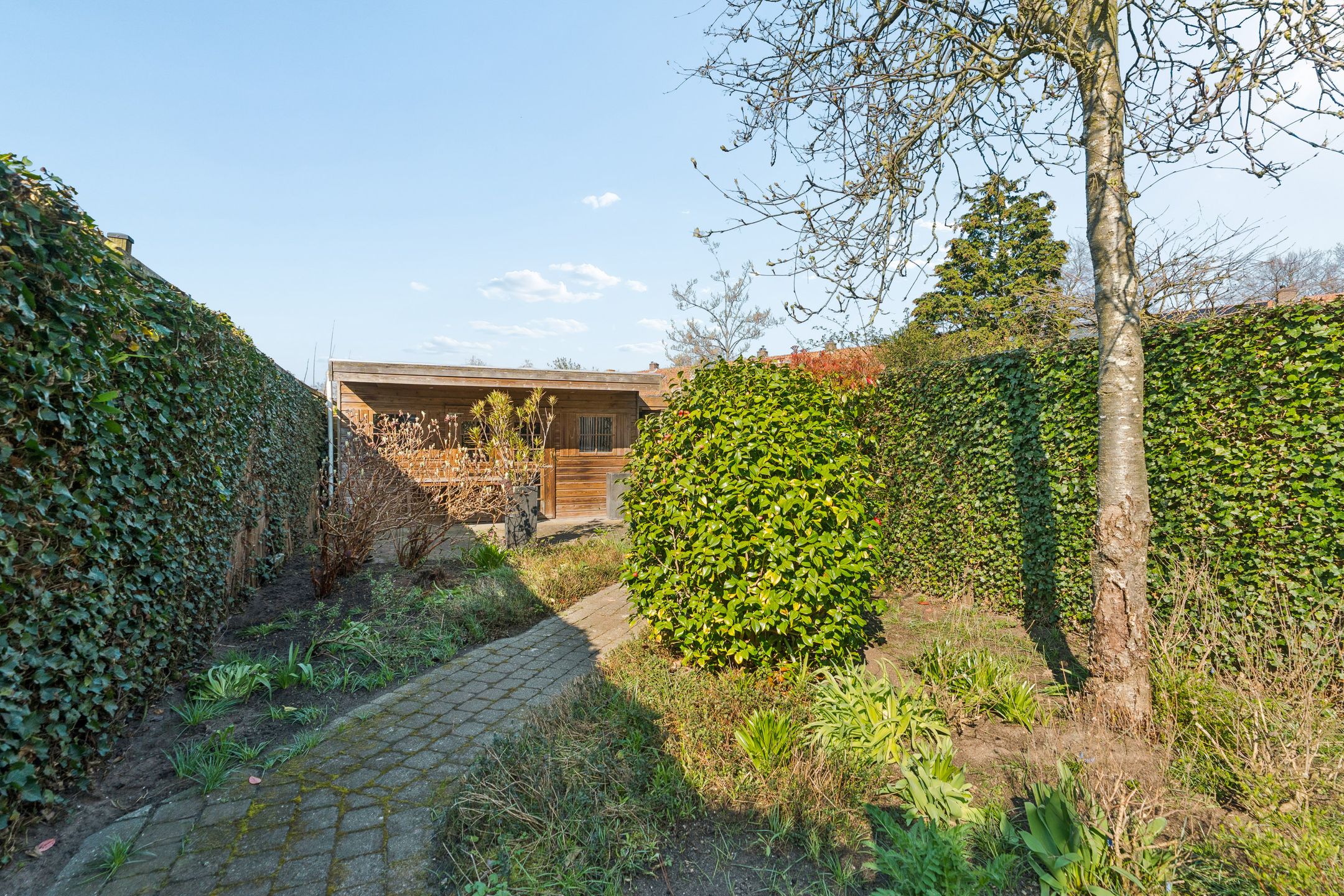 Foto 48 van Wezenlaan 20