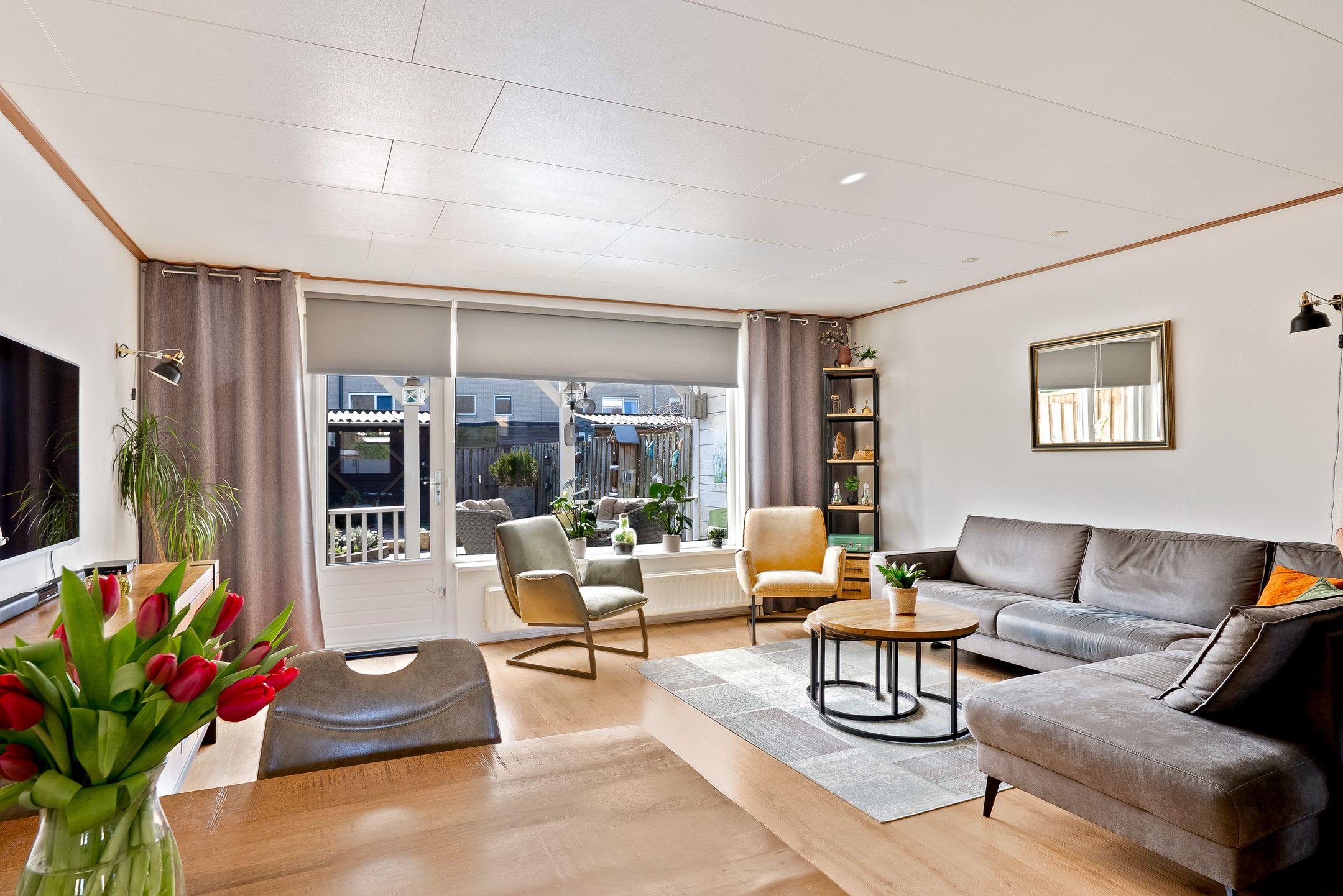 Foto 6 van Mistral 19