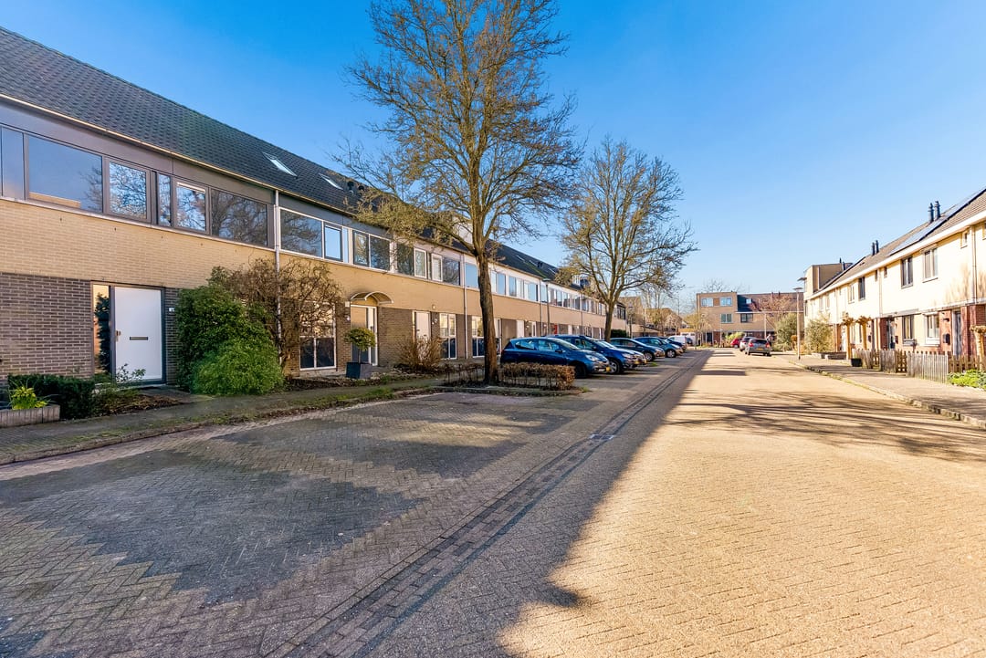 Foto 38 van Mistral 19