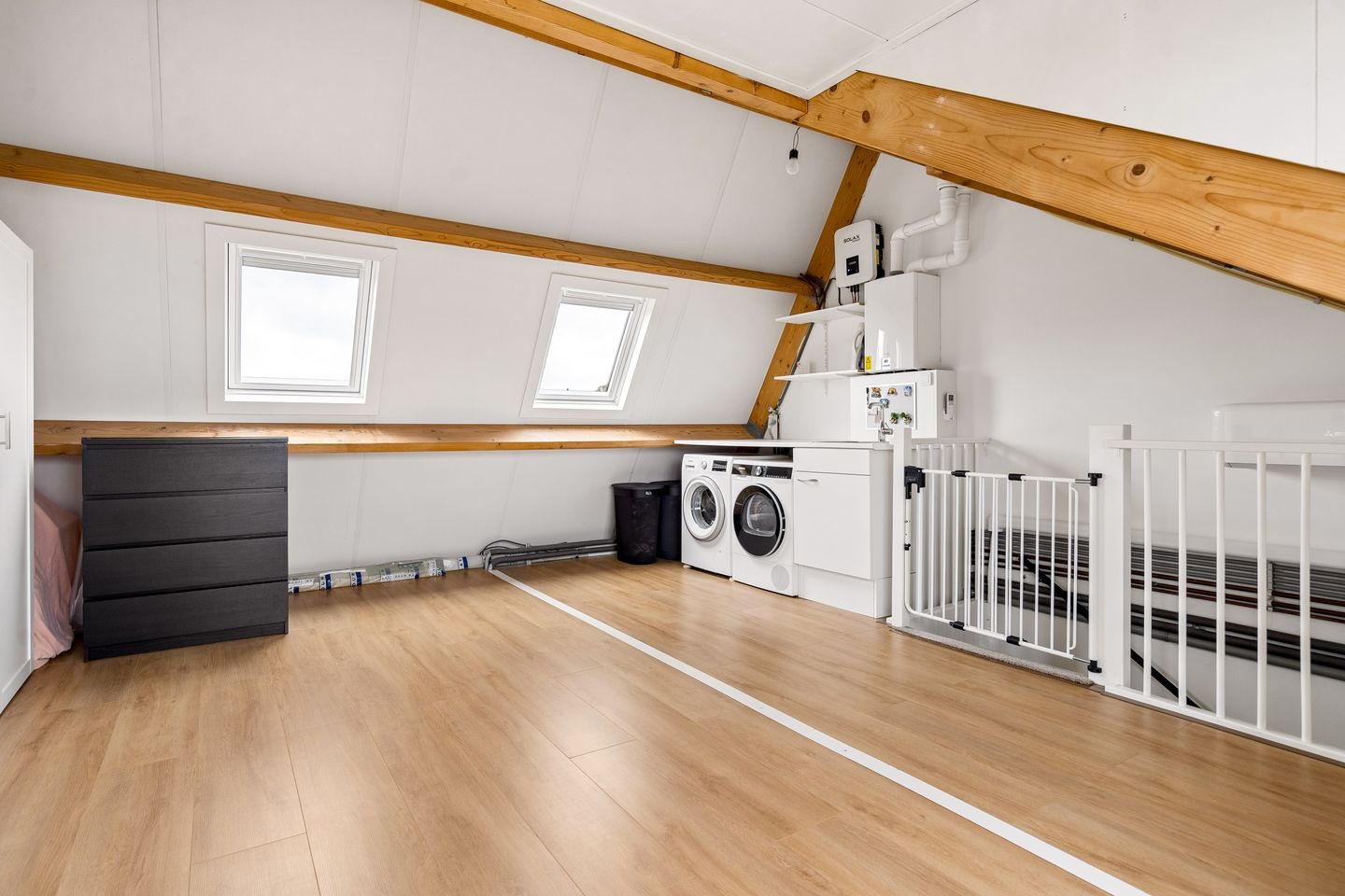 Foto 35 van Goudsbloem 30