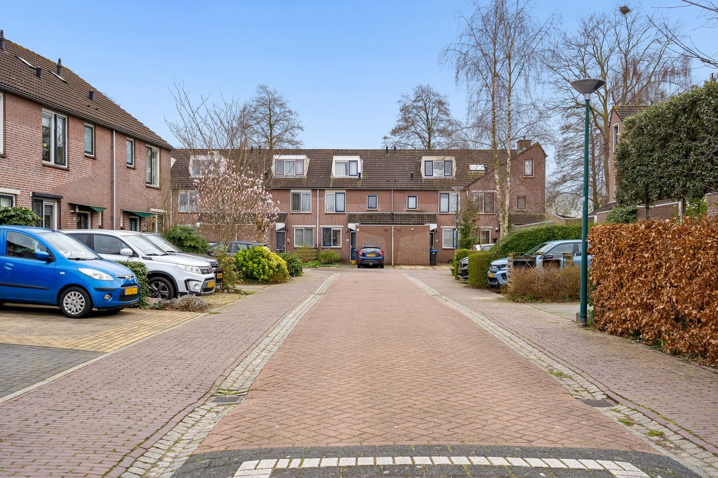 Foto 44 van Goudsbloem 30