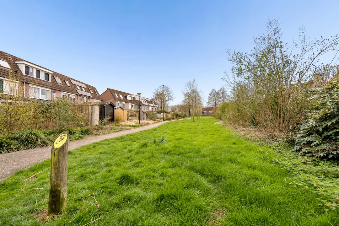 Foto 46 van Goudsbloem 30