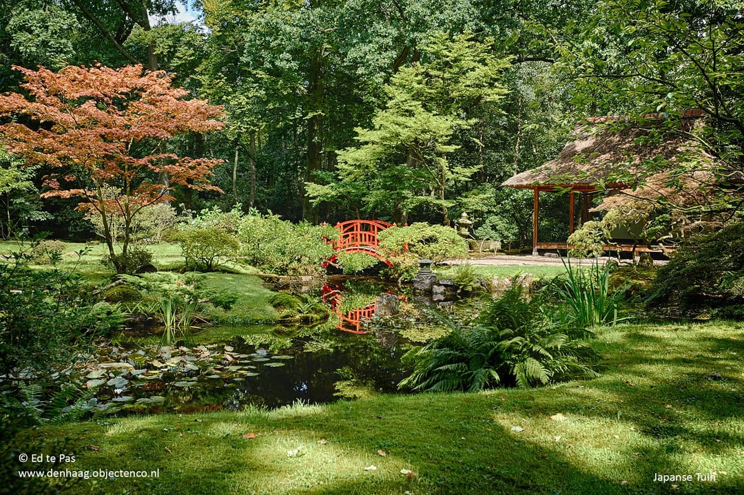 Foto 22 van Van Trigtstraat 32