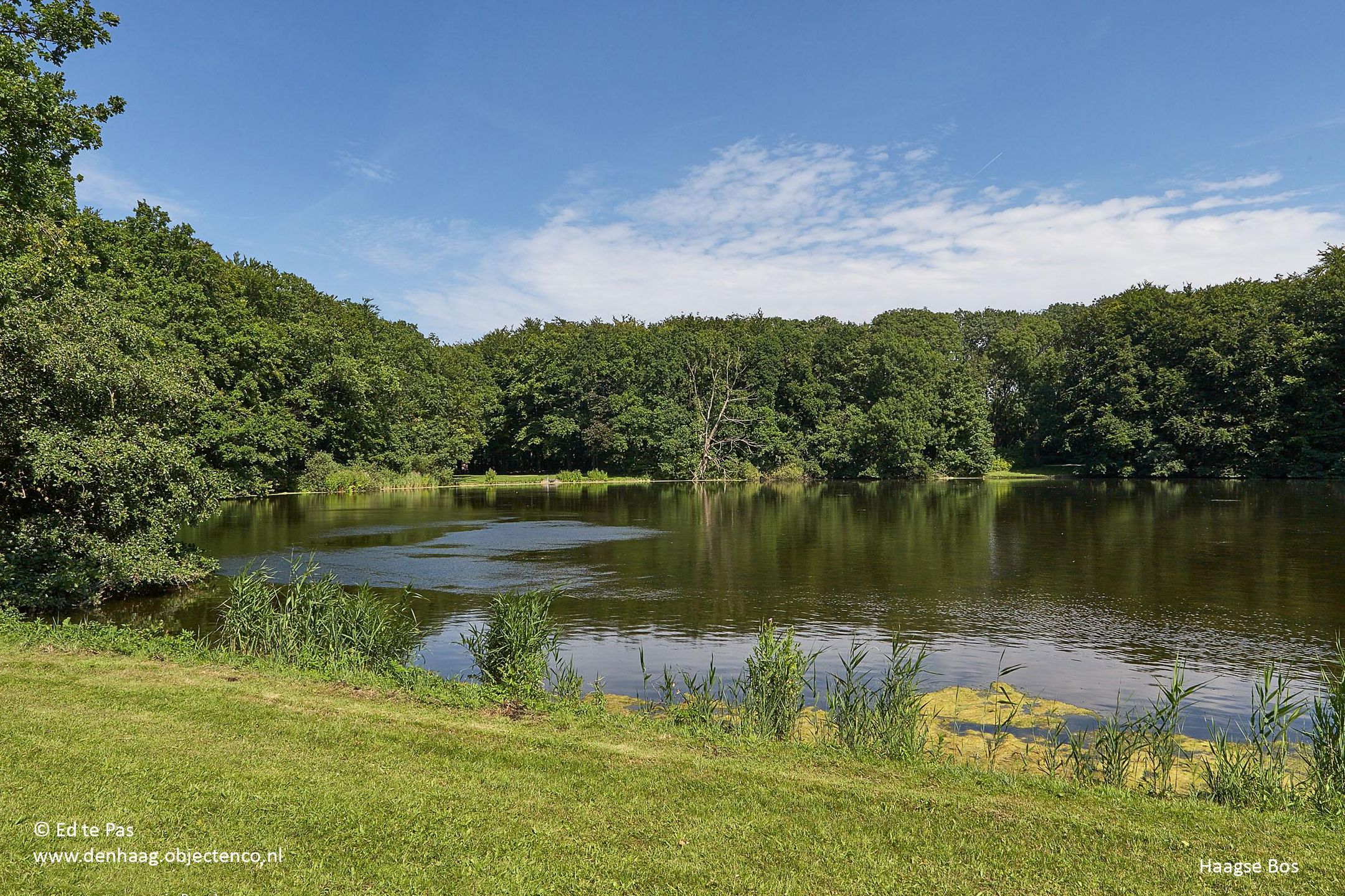 Foto 24 van Van Trigtstraat 32