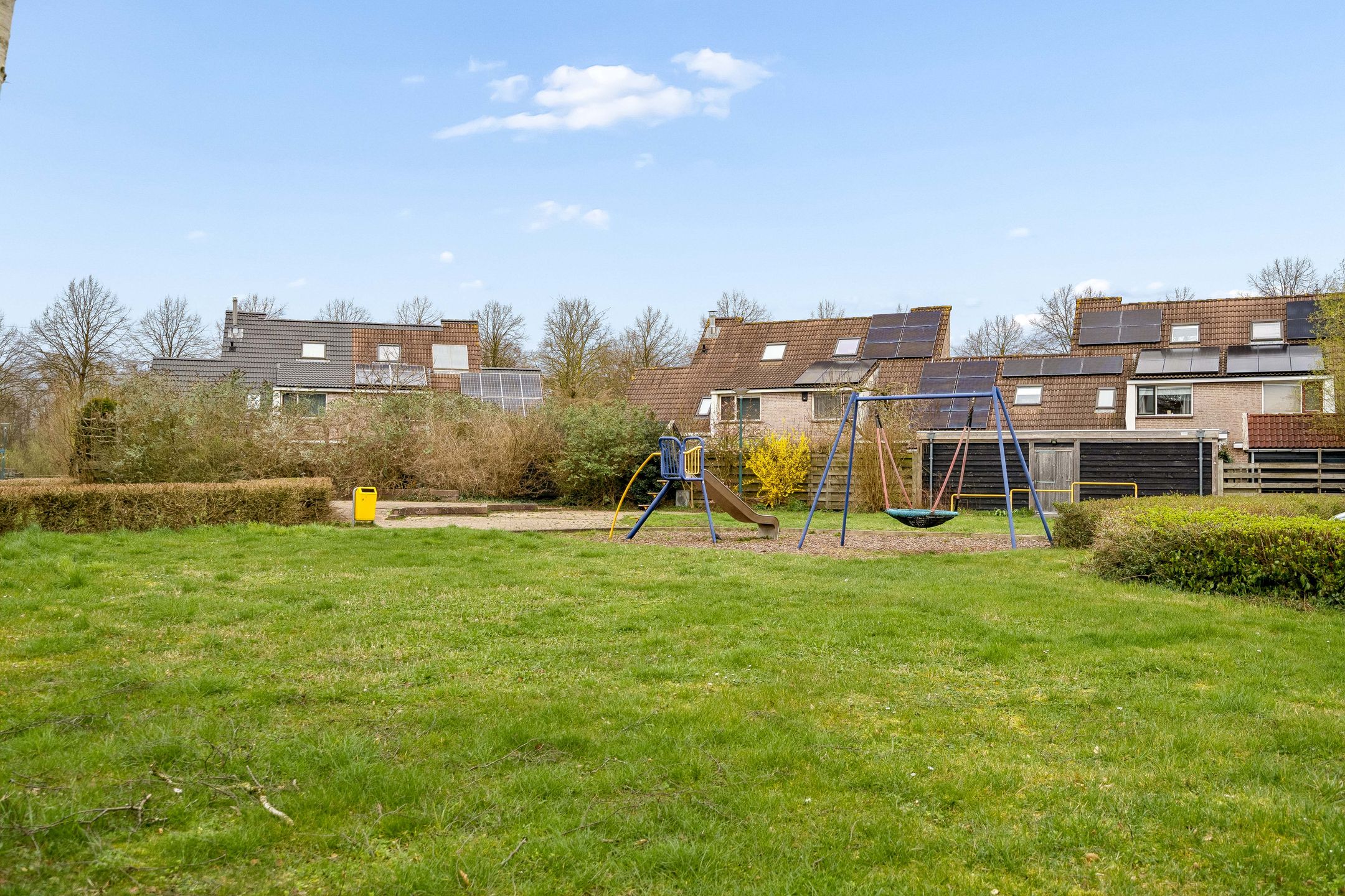 Foto 45 van Goudsbloem 30