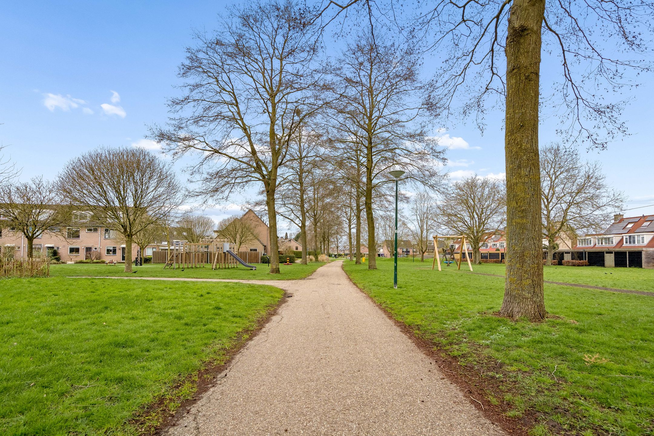 Foto 48 van Goudsbloem 30