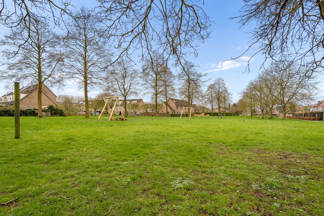 Foto 47 van Goudsbloem 30