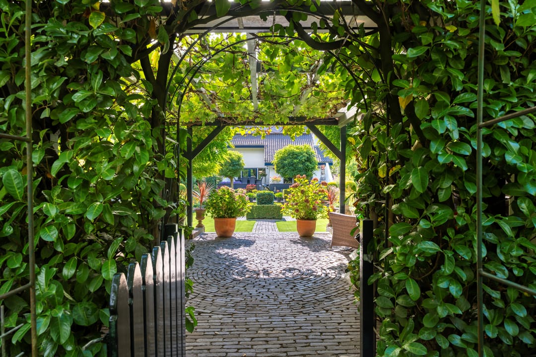 Foto 67 van van Straelenlaan 7