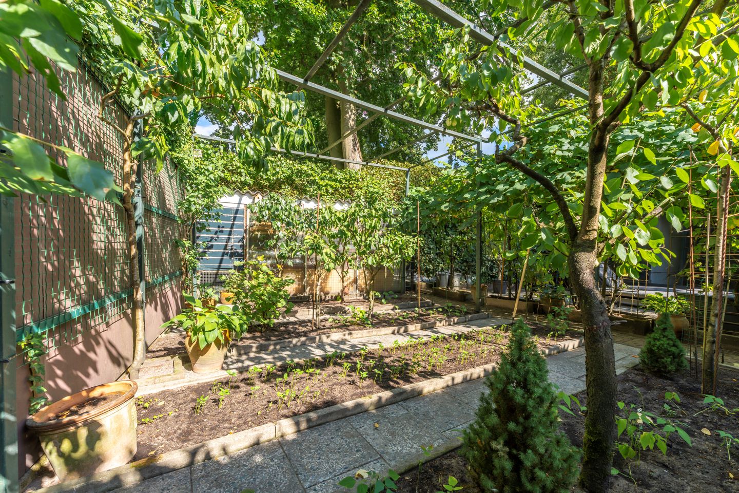 Foto 65 van van Straelenlaan 7