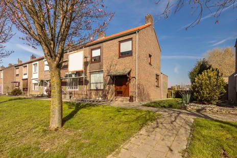 Past Daemenstraat thumbnail