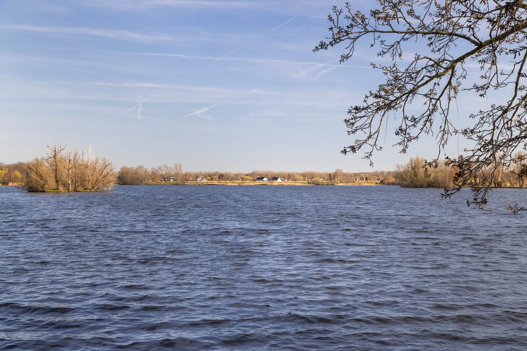 Photo 38 of Berglustlaan 10