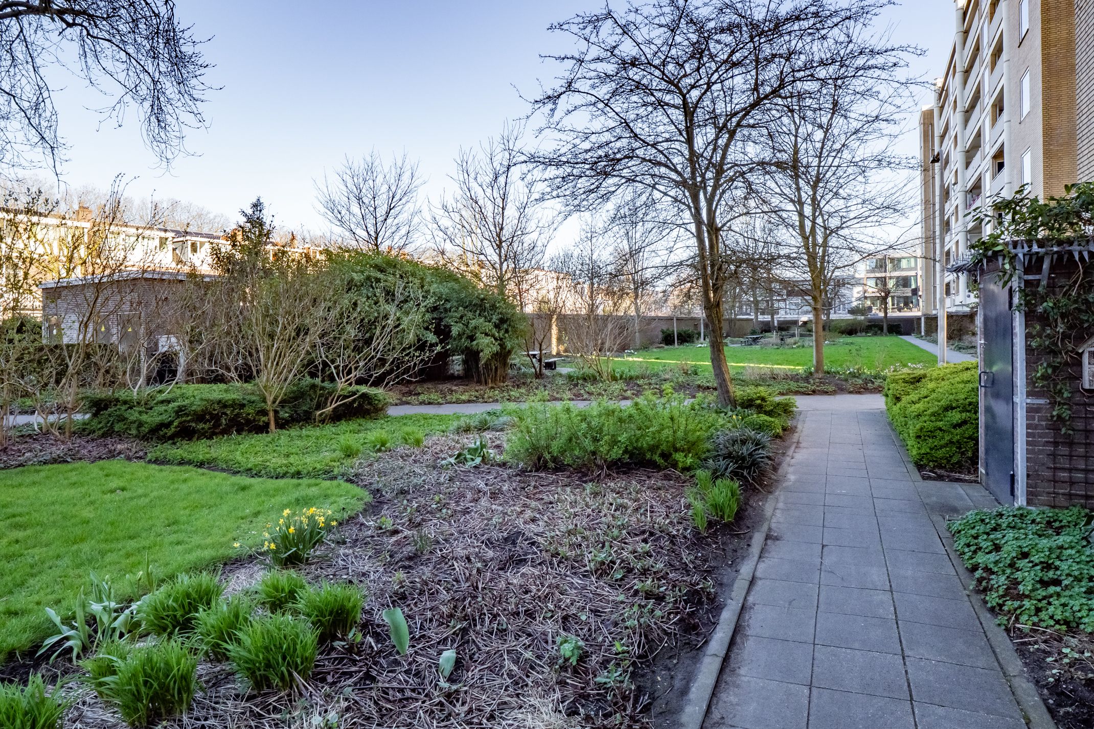 Foto 36 van Karel Doormanlaan 162