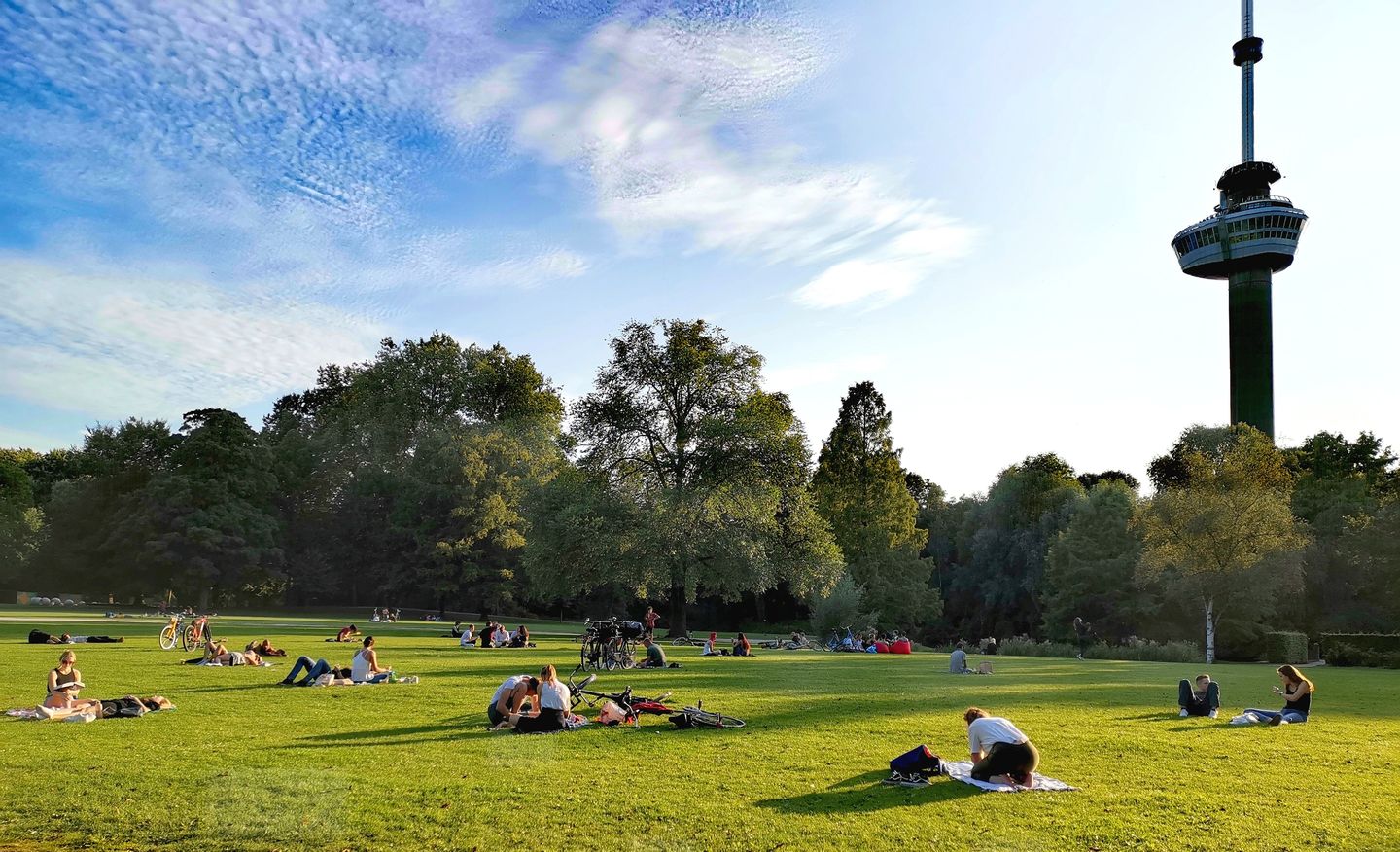 Foto 70 van Houtlaan 327