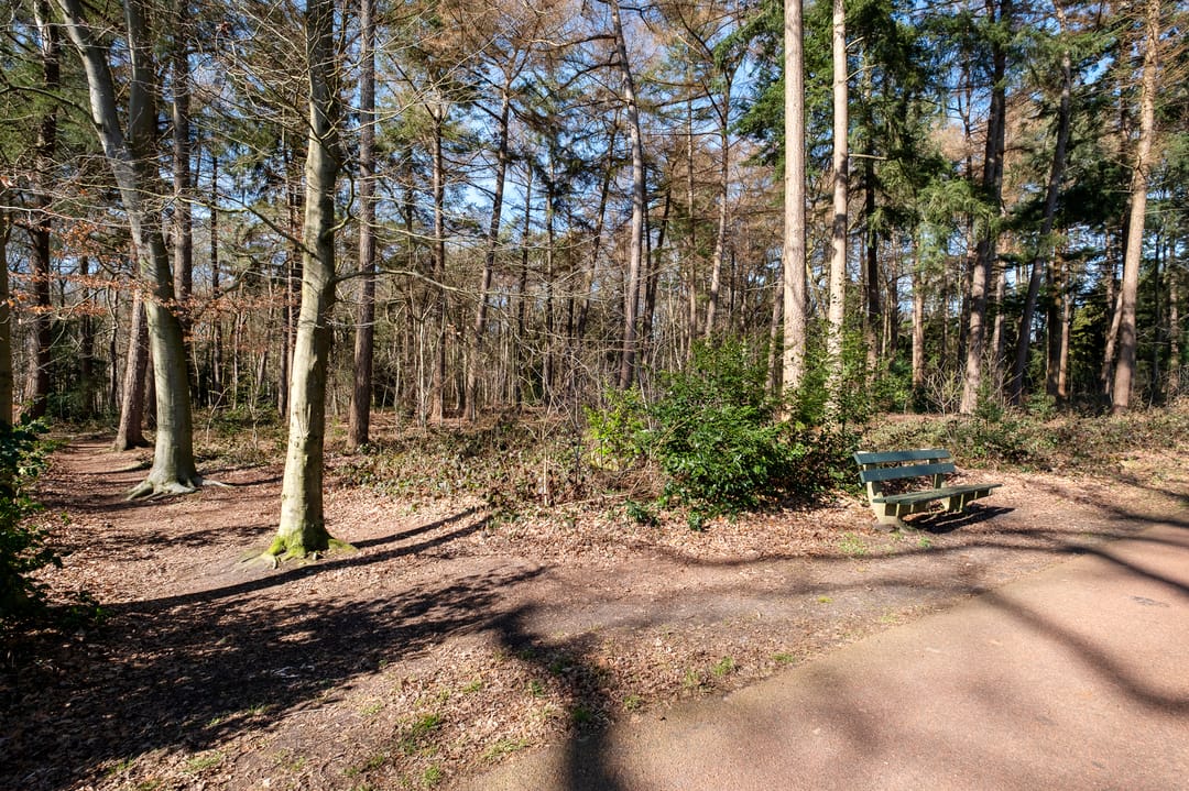 Foto 71 van Beilerstraat 11