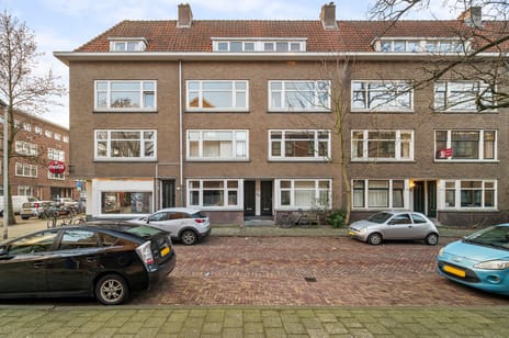 Borgesiusstraat thumbnail
