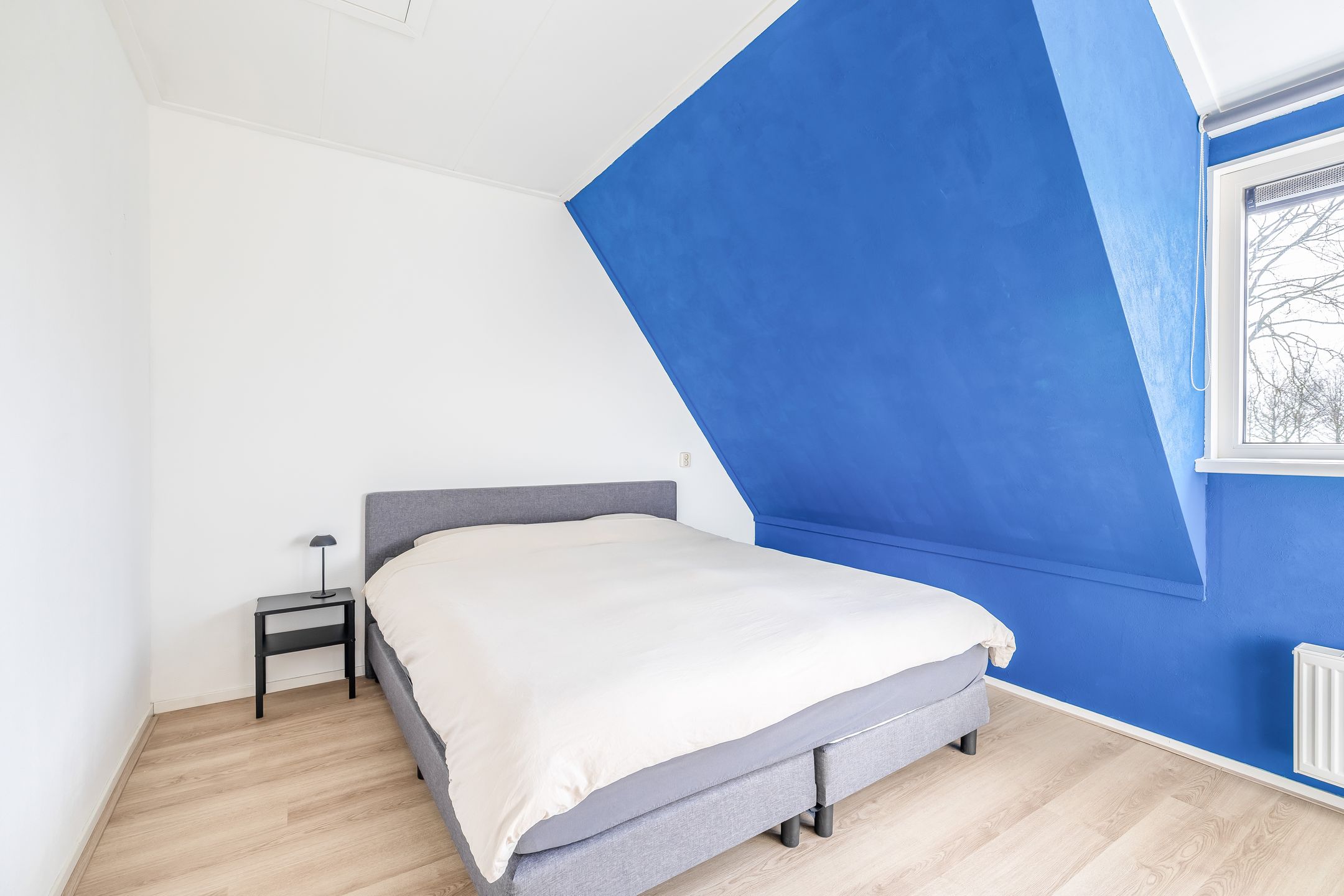 Foto 21 van Jhr F J J van Eijsingastraat 10