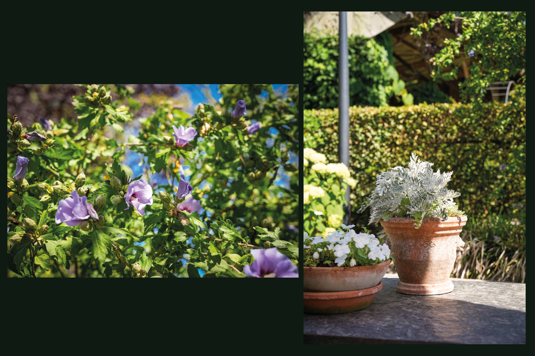 Foto 54 van Broekweg 6