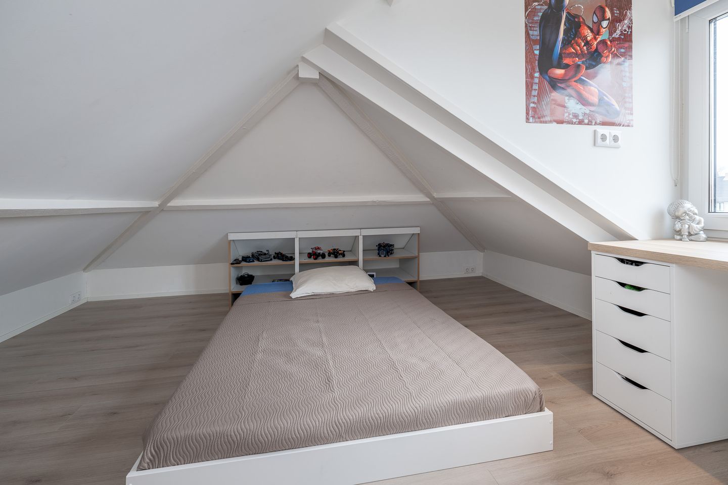 Foto 29 van dr. Schaepmanlaan 1