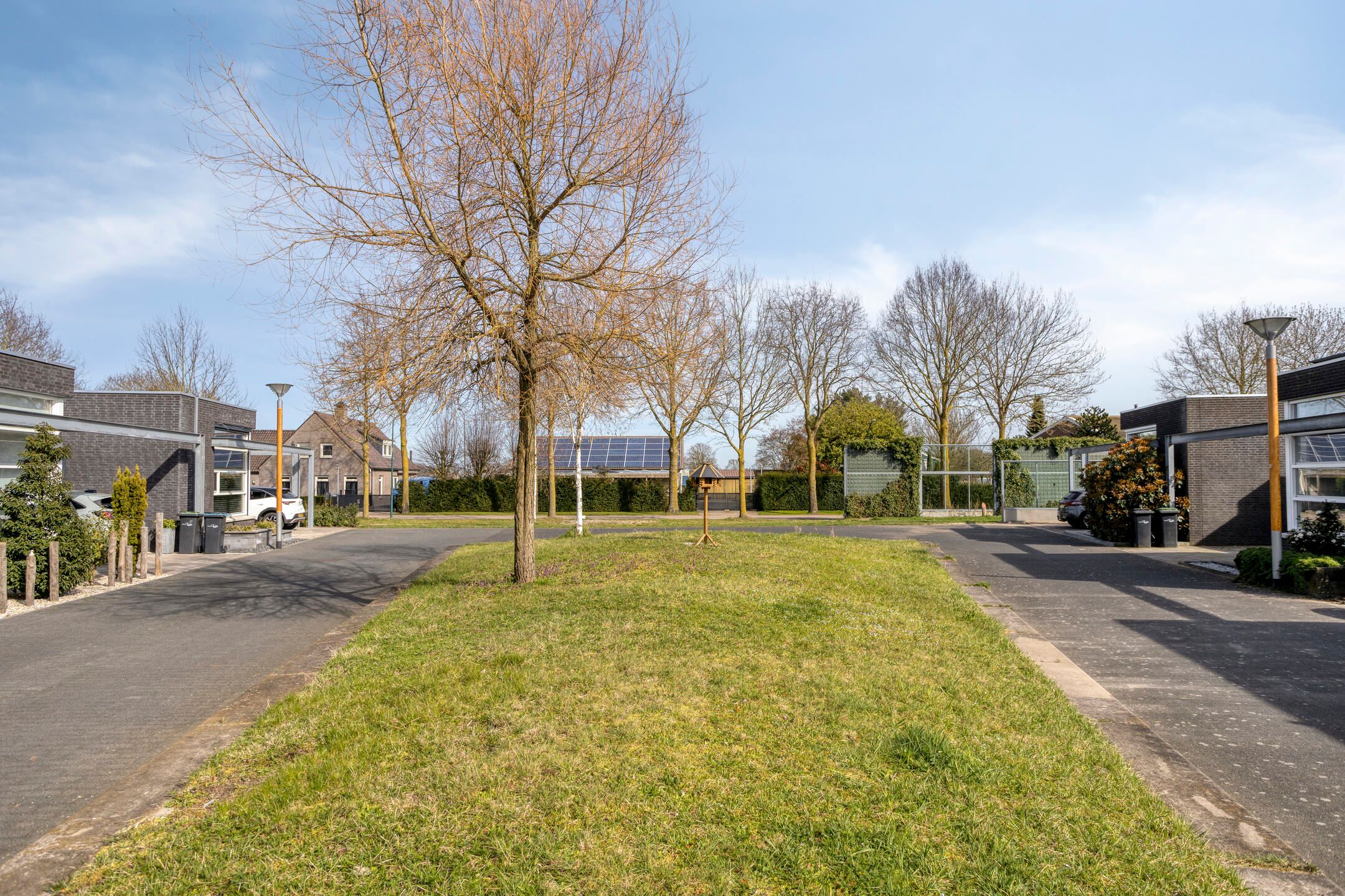 Photo 33 of Havikskruid 87