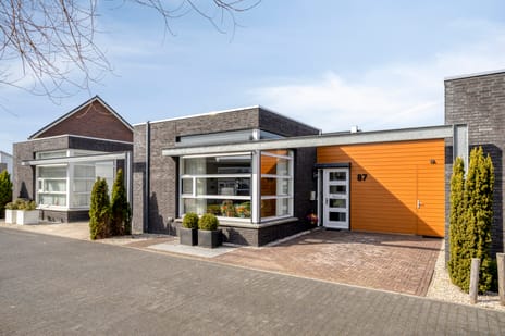 Havikskruid thumbnail