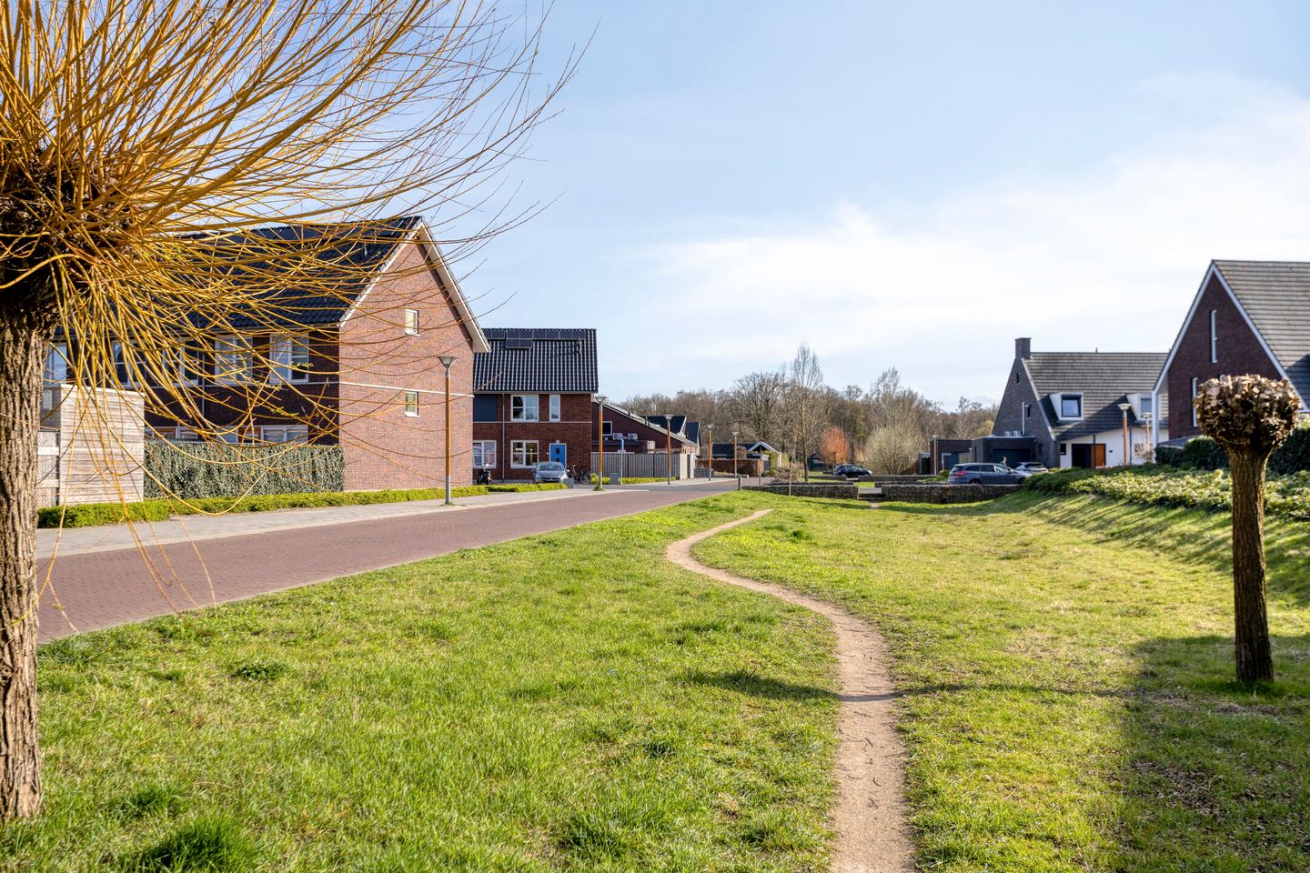 Photo 35 of Havikskruid 87