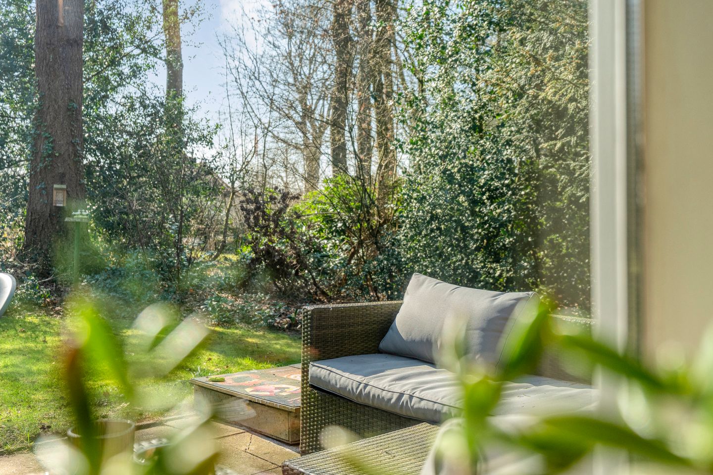 Foto 29 van Hezenes 31