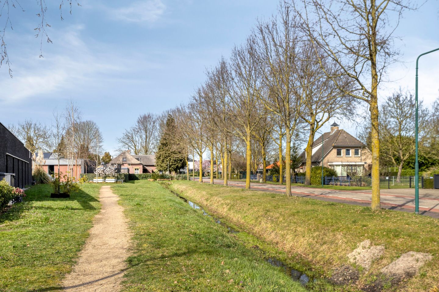 Photo 34 of Havikskruid 87