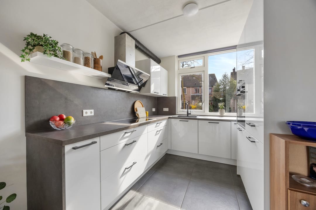 Foto 2 van Hoogmeer 2033