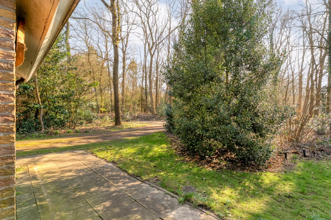 Foto 31 van Hezenes 31