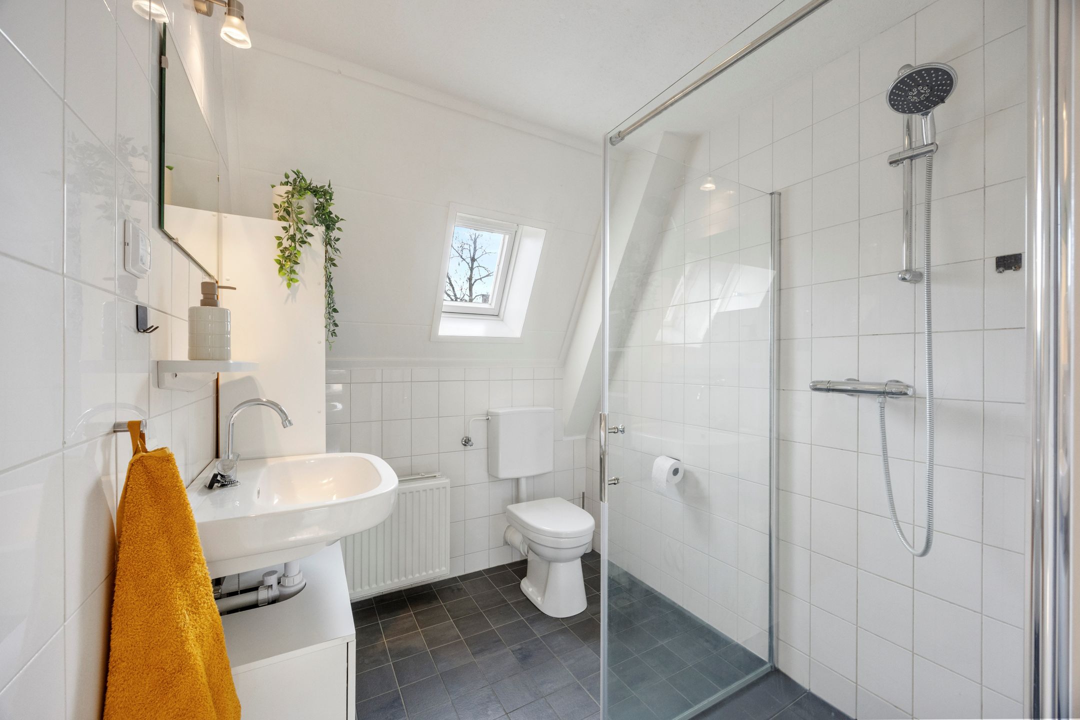 Foto 27 van Hoogmeer 2033