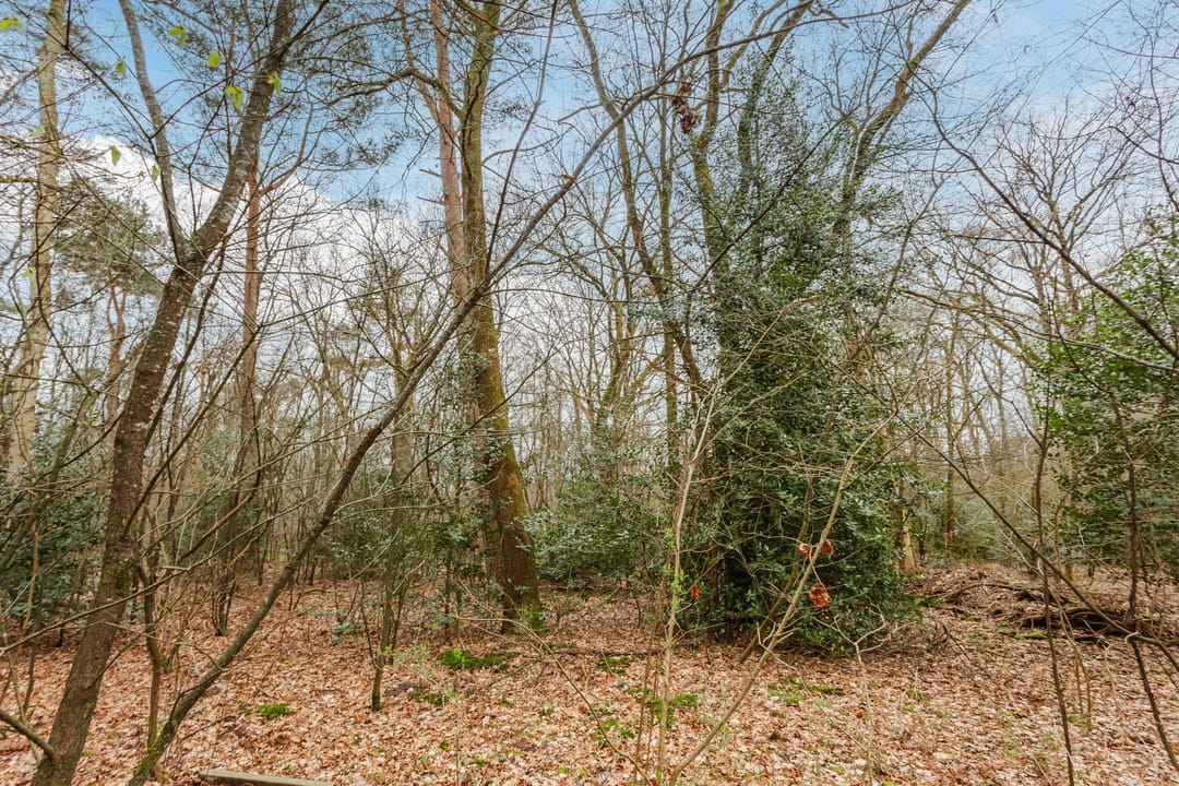 Foto 31 van Leuvenumseweg 120-341