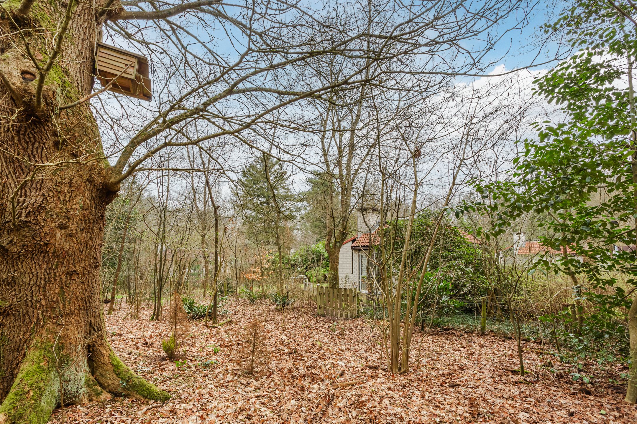 Foto 30 van Leuvenumseweg 120-341