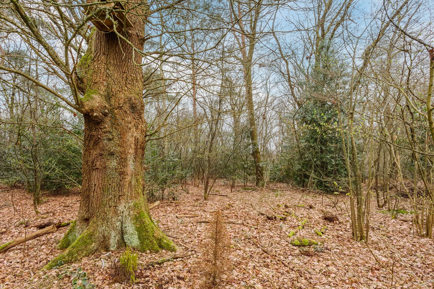 Foto 29 van Leuvenumseweg 120-341