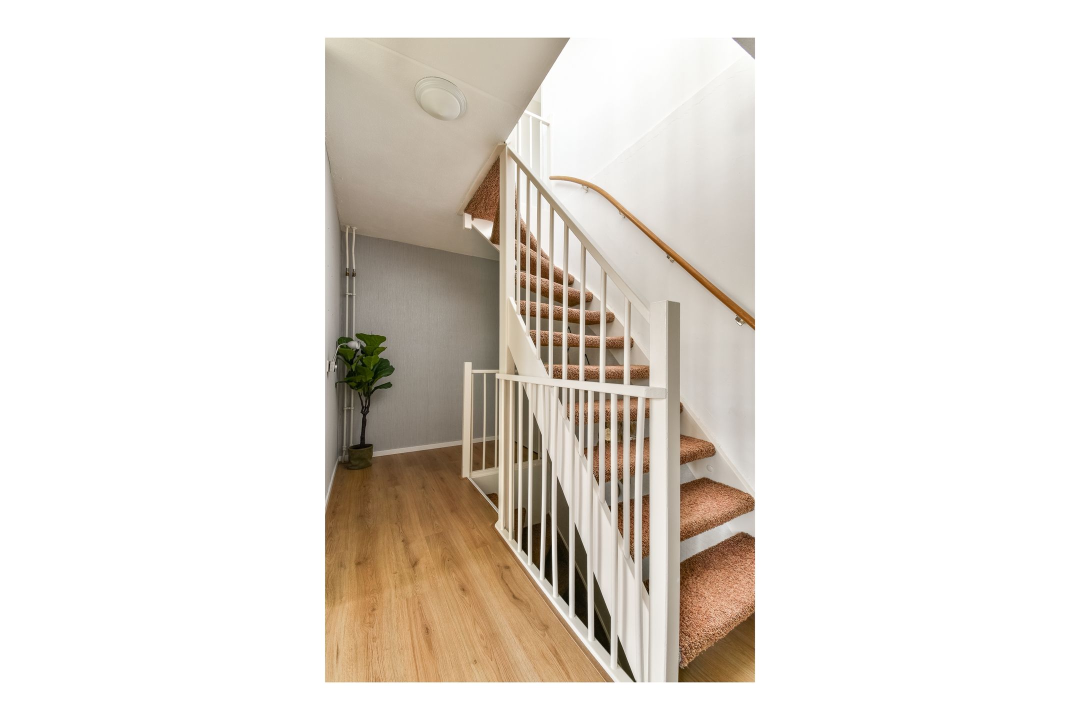 Foto 18 van Hagedisstraat 25