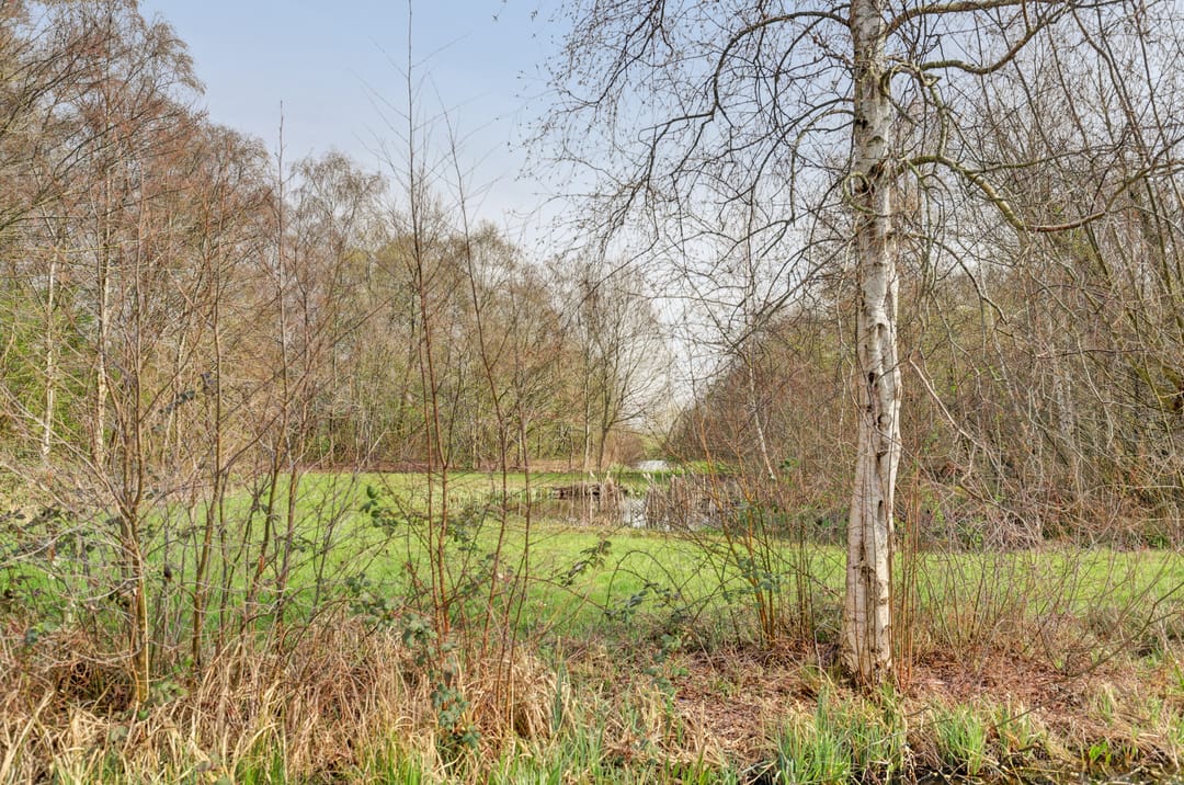 Foto 37 van Verdistraat 24