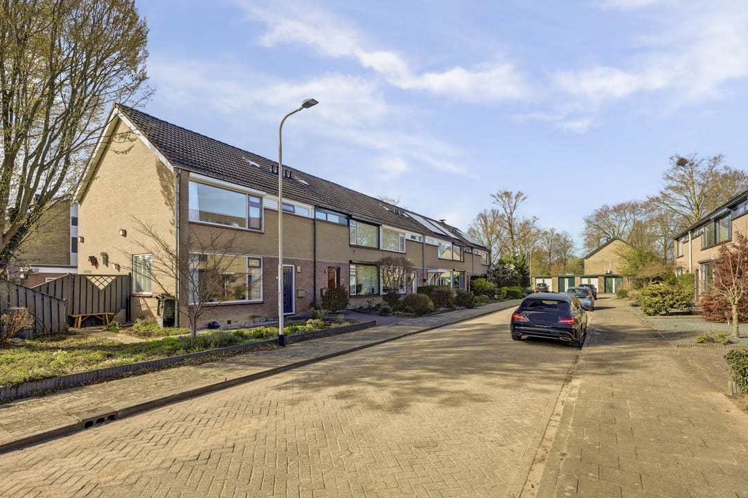 Photo 38 of Viermorgen 1