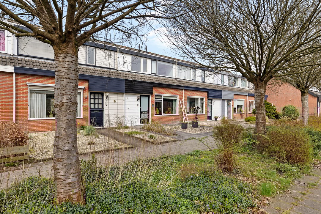 Photo 43 of De Bân 12